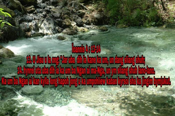 17855338_157186041474839_4215560772179441433_o