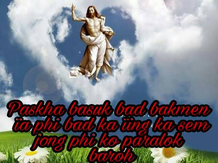 17903361_159049924621784_7868613732381291391_n